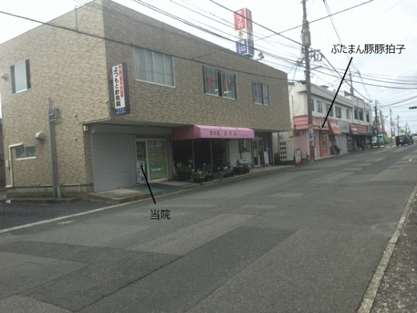 当院とぶたまんトントン拍子の一位置